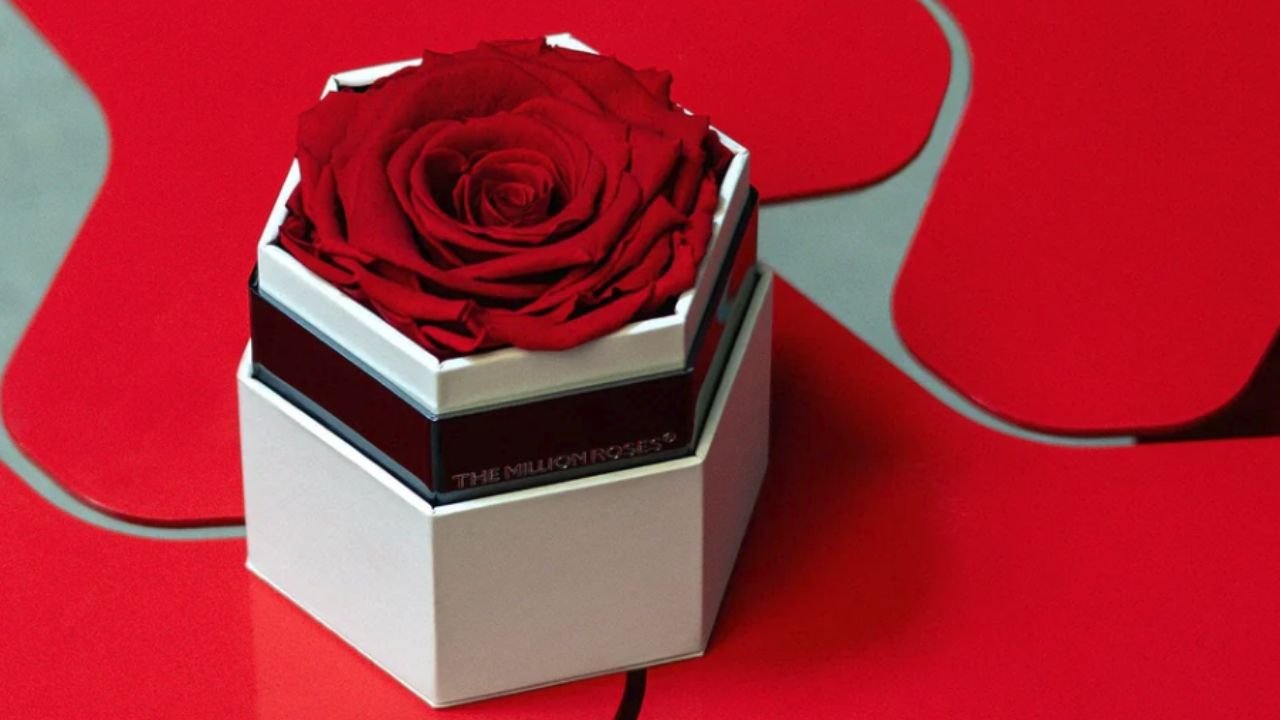 Why Modern Men Choose Preserved Roses for a Lasting Impact