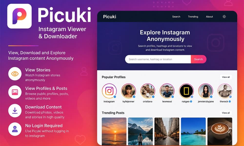 Picuki: Is This Instagram Viewer Still Worth Using?
