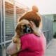 buying a dog in Belfast