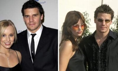 Who Is Ingrid Quinn? Everything to Know About David Boreanaz’s Ex-Wife