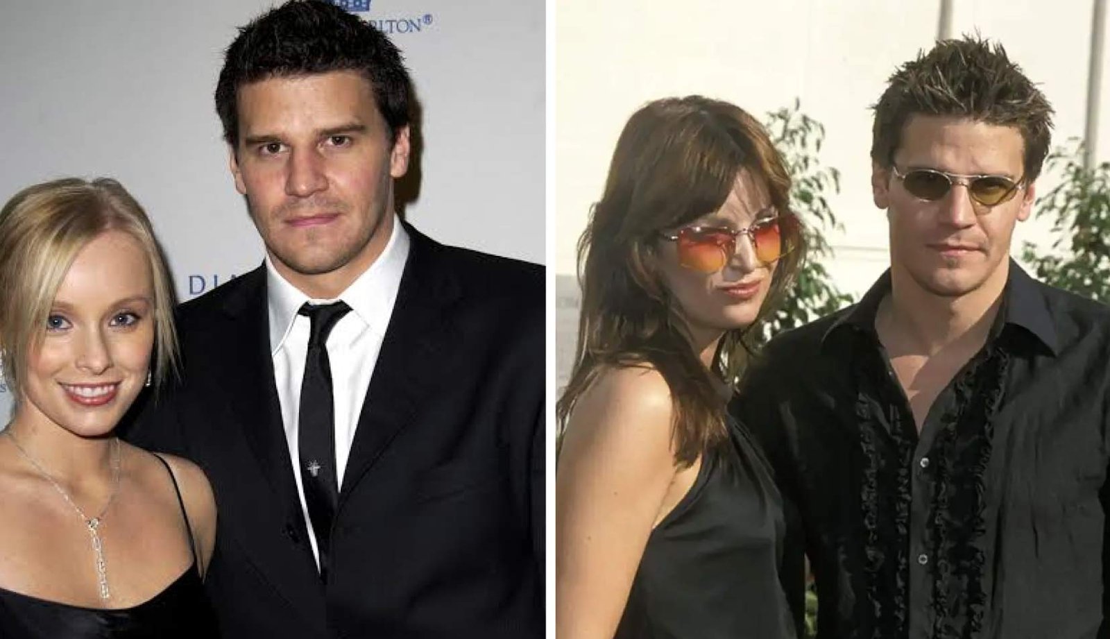 Who Is Ingrid Quinn? Everything to Know About David Boreanaz’s Ex-Wife